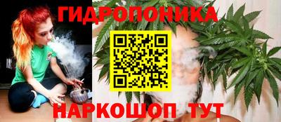 СК Анапа