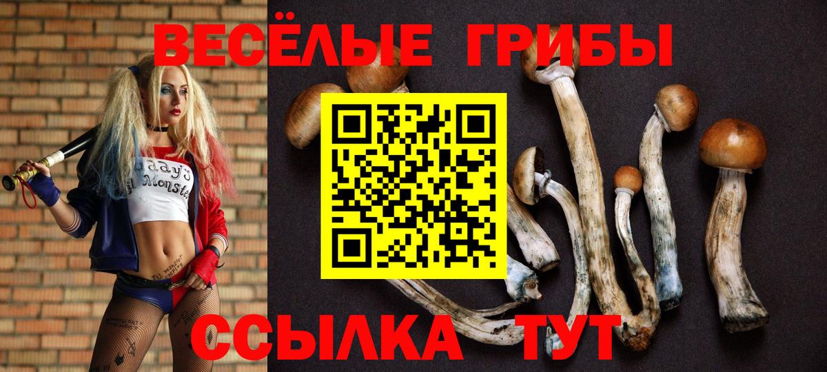 купить закладку  Галлюциногенные грибы ЛСД  Вход с VPN  Верхняя Пышма 