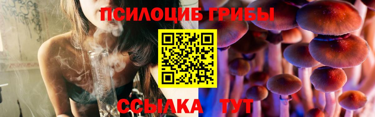 Галлюциногенные грибы прущие грибы Верхняя Пышма